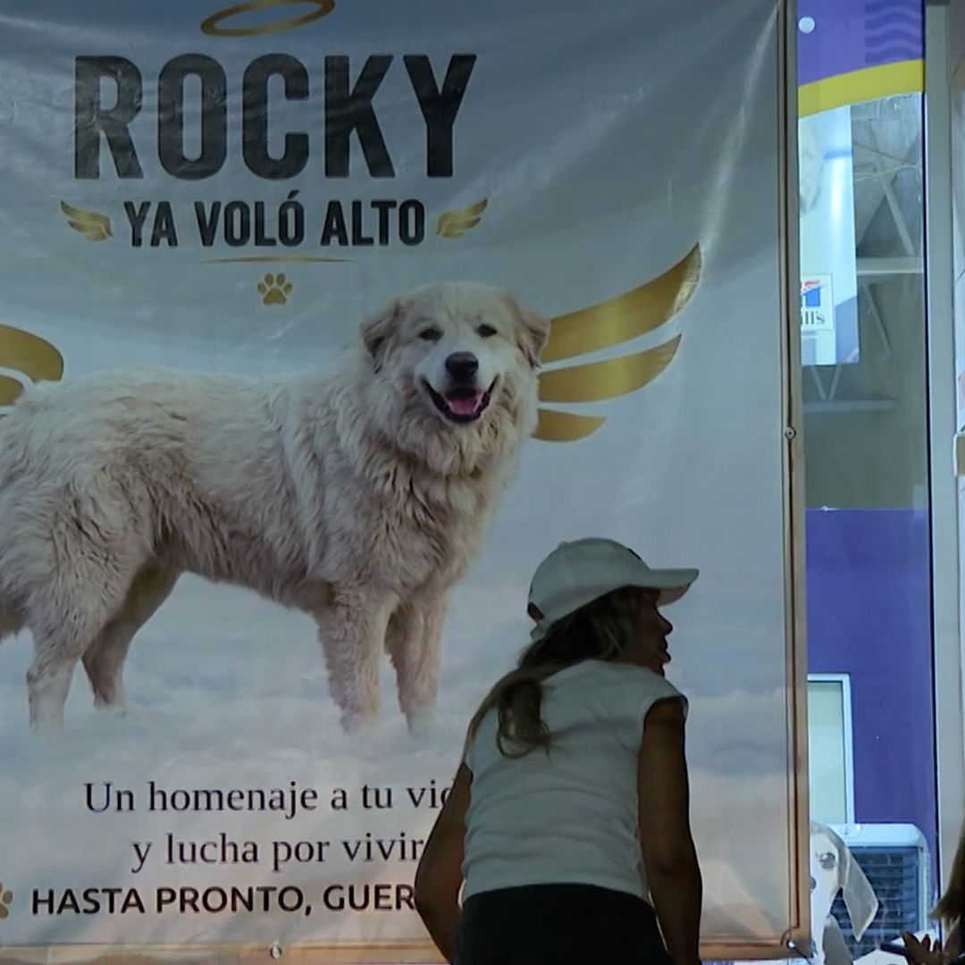 Proponen Construir Monumento en Honor a Rocky en Saltillo